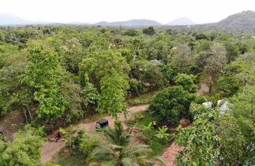 Dambulla Resort | Araliya resort dambulla with free cooking class