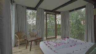 Arangala Hotel | Arangala Forest Lodge