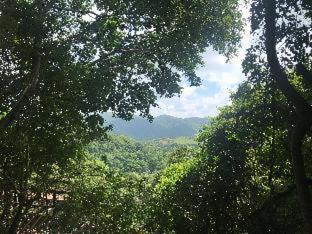 Arangala Hotel | Arangala Forest Lodge
