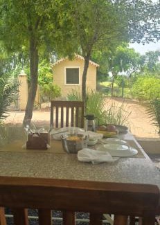 Bali House | ARANYA JAWAI - A Nature Stay