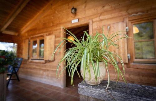 Aras de los Olmos Hotel | Aras Rural