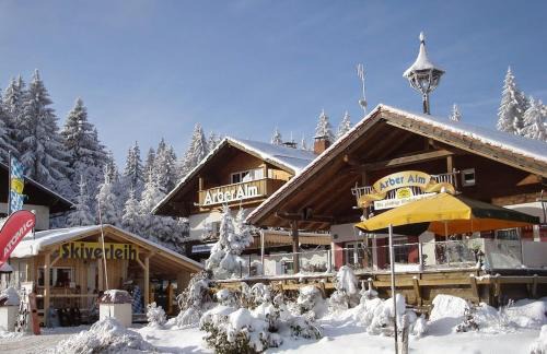 Bayerisch Eisenstein Apartment | Arber Alm