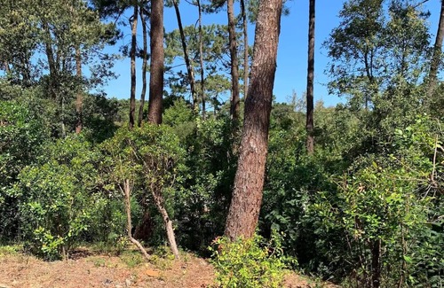 Le Canon Villa | Arcachon basin. Quiet villa 3 minutes walk from the beach