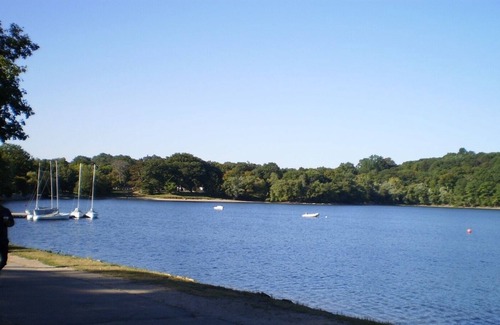 Jamaica Plain House | Architectural, Wheelchair Accessible, Charming House, Lovely Boston Neighborhood