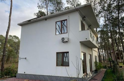 Shekhvetili House | ARGO Shekvetili
