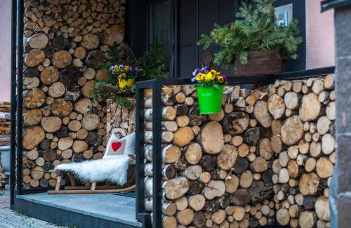 Sankt Anton am Arlberg House | Arlsuites