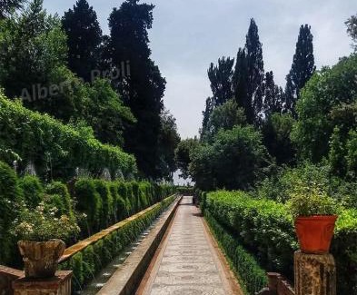 Tivoli Apartment | ARRIVA LUI!Bello bello,ci pensa lui, stai tranquillo