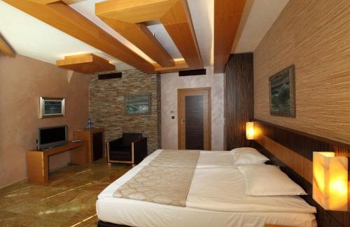 Budjaka Hotel | Art Complex Anel