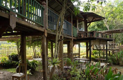 Chiang Dao House | Art House at Chiangdao - Moon House