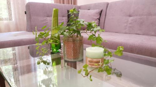 Plovdiv Old Town Hotel | Art House Plovdiv