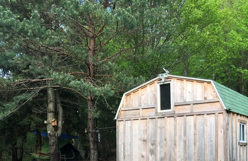 White Sulphur Springs Cabin | Artist Retreat in New York: Cabin 1