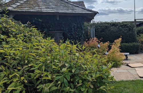 Cranbrook House | Artist's Hawkhurst Home with Pool and Sauna