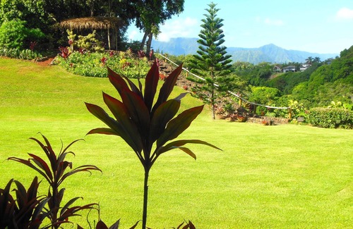 Kilauea House | AS SEEN ON TV- Rated #1 Northshore Rental/Retreat with the "Wow" Factor