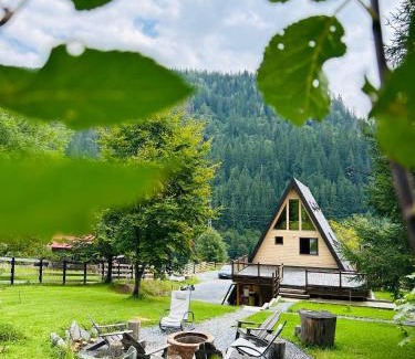 Brosteni House | Ascape Kabin