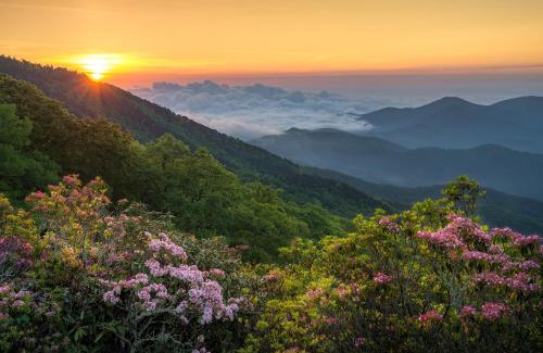 Ridgecrest House | Asheville Black Mountain Escape