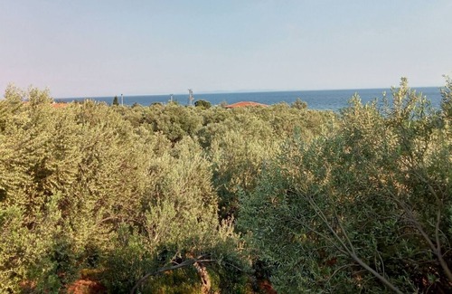 Ayvacik Bed & Breakfast | Assos Gunoven Cuisine