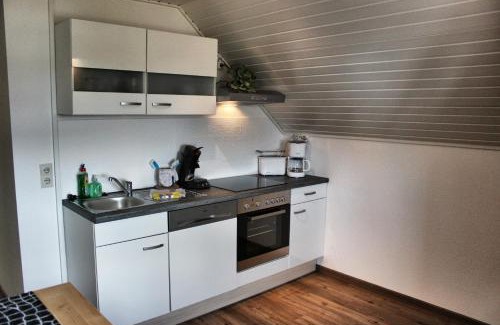 Altastenberg Apartment | Astentraum