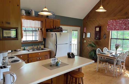 Hiawassee Cabin | Aster Cabin - Beautiful Mountain View, Rustic Charm w/Jacuzzi & Wood Fireplace