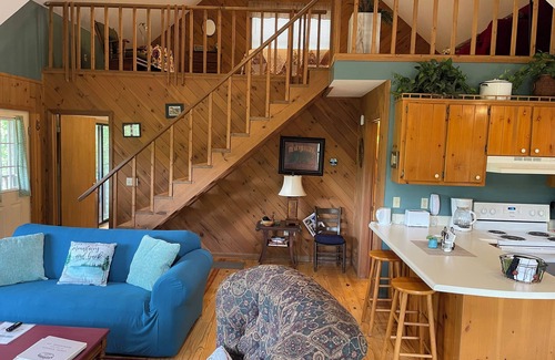 Hiawassee Cabin | Aster Cabin - Beautiful Mountain View, Rustic Charm w/Jacuzzi & Wood Fireplace