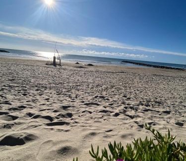 Carnon-Plage Apartment | AStudio Lumineux à la plage, situation idéale commerces, bateaux ,restaurant à 20 m , Plage à 50 m, idéal pour un séjour reposant