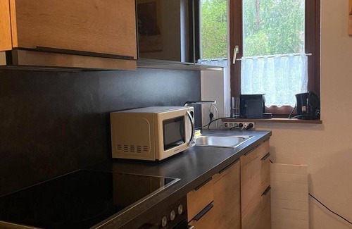 Bad Goisern Apartment | Vacation apartment/apartment for 4 guests with 38m² in Bad Goisern on Lake Hallstatt (295608)