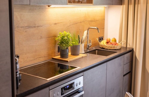 Bruck an der Grossglocknerstrasse Apartment | Lovely apartment for 4 people with WIFI, TV, balcony, pets allowed and panoramic view