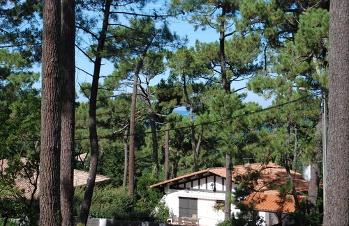Pyla-sur-Mer Villa | At Le Pyla, in the heart of the Corniche district, family villa under the pines