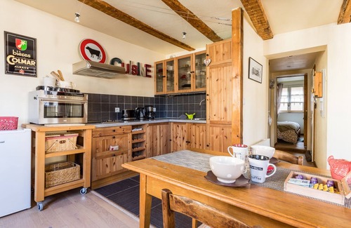Old Town Apartment | AT THE HEART OF COLMAR HYPER CENTER TANNERS