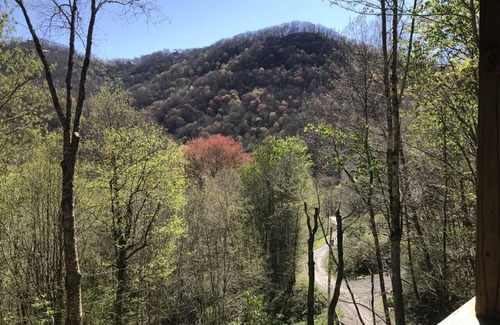 Maggie Valley Cabin | At the Woods-3 BR Pet Friendly