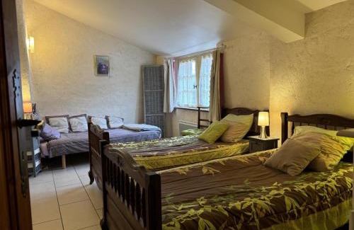 Saint-Bonnet-de-Rochefort House | Atelier rénové en pierres pour 5 personnes, animaux acceptés, jardin - FR-1-489-181