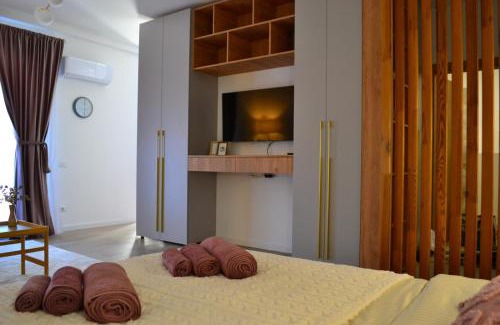 Timisoara Apartment | ATENEO Golden Nest