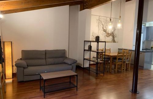 Jaca Apartment | Atico Jaca Centro