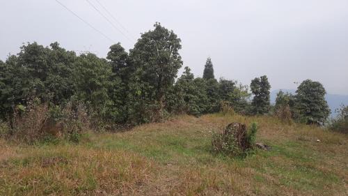 Darjeeling House | Atithi inn JHAMBALA HOMESTAY