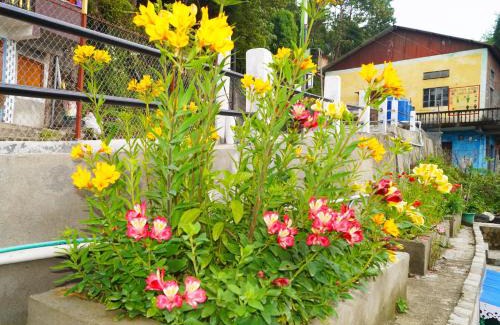 Darjeeling House | Atithi inn JHAMBALA HOMESTAY