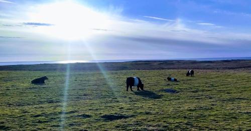 Benbecula Other | Atlantic Sunset Pod, Isle of Benbecula