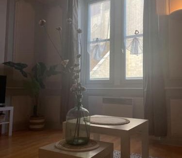 Dole Apartment | « Au cœur de Dole »