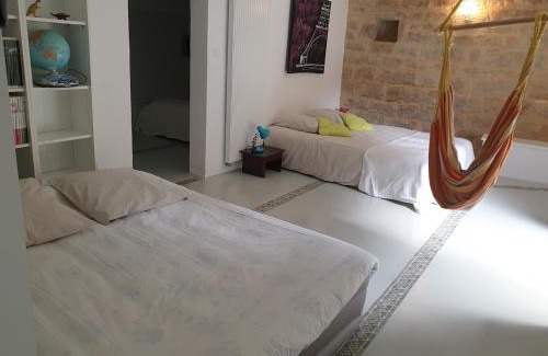Bio House | Au fil des hirondelles