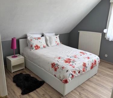 Wintzenheim Apartment | Au petit Logelbach