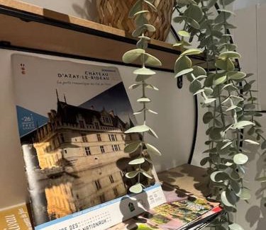 Azay-le-Rideau Apartment | Au pied du château