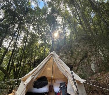 Calenzana Hotel | Auberge De La Foret Bonifatu