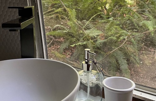 Port Ludlow House | Audrey the Vintage Airstream nestled in 6 acres of old growth forest