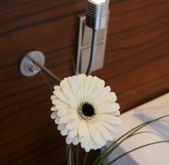 Augustenstraße Hotel | Augusten Hotel München