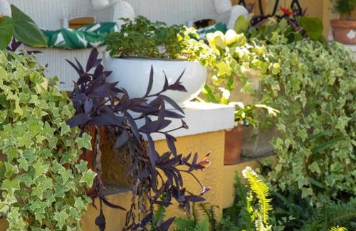 Faubourg Marigny Bed & Breakfast | Auld Sweet Olive Bed and Breakfast