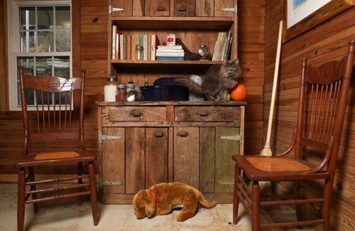 Otto Cabin | Aunt Aries Historical cabin- retreat to the wilderness