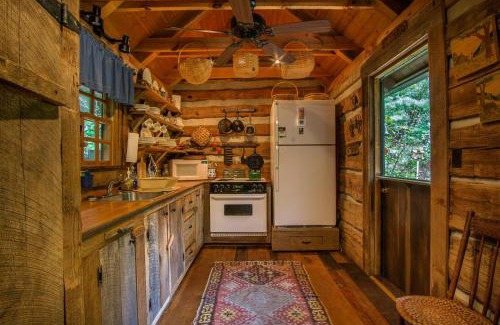 Pisgah Forest House | Aunt Babbies Cabin