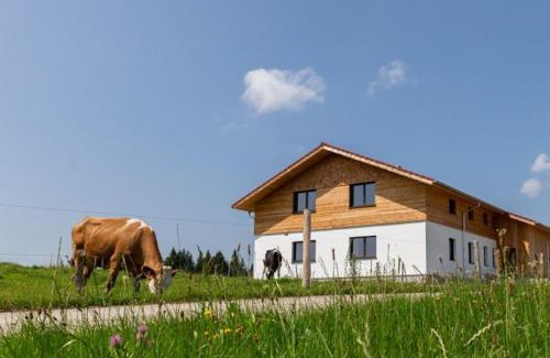 Gorisried Apartment | Auszeit Ferienhof
