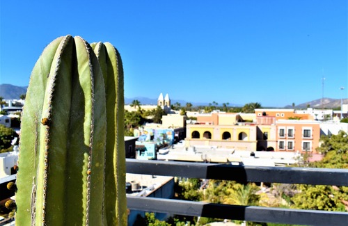 Downtown San Jose del Cabo Condo | Authentic & Cozy Condo in Downtown San Jose