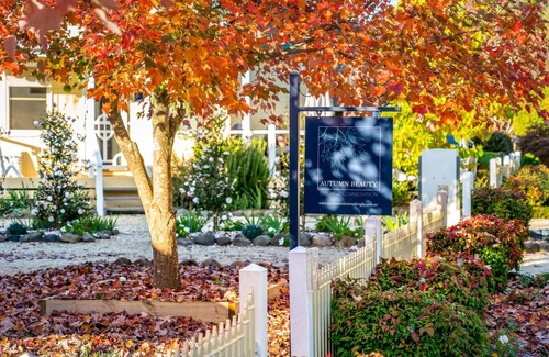 Bright Cottage | Autumn Beauty - Garden Cottage 4