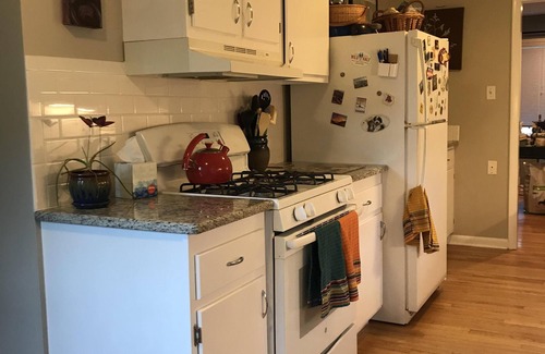 Central Colorado Springs House | Available again Nov 2024! - #StayArtsyCOS adorable downtown home, dog-friendly