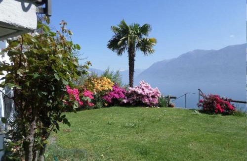 Brissago House | Avalon